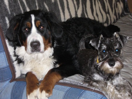 30.6.2007 (půl roku)